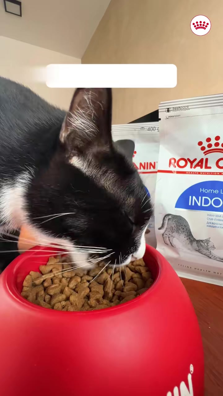 This bundle is a game-changer for cat parents! They love it, and so will your fur baby.  #RoyalCaninMalaysia