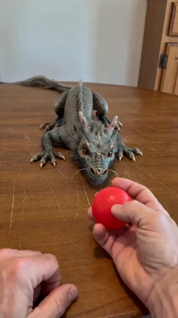 Bro really thought he was slick... 💀 Caught my dragon PEEKING during the shell game! 😲 Rate his acting 1-10 👇 Is he a genius or just a cheater? 😂#loong #cgi #Shorts #CutePets #dragon #vfx
