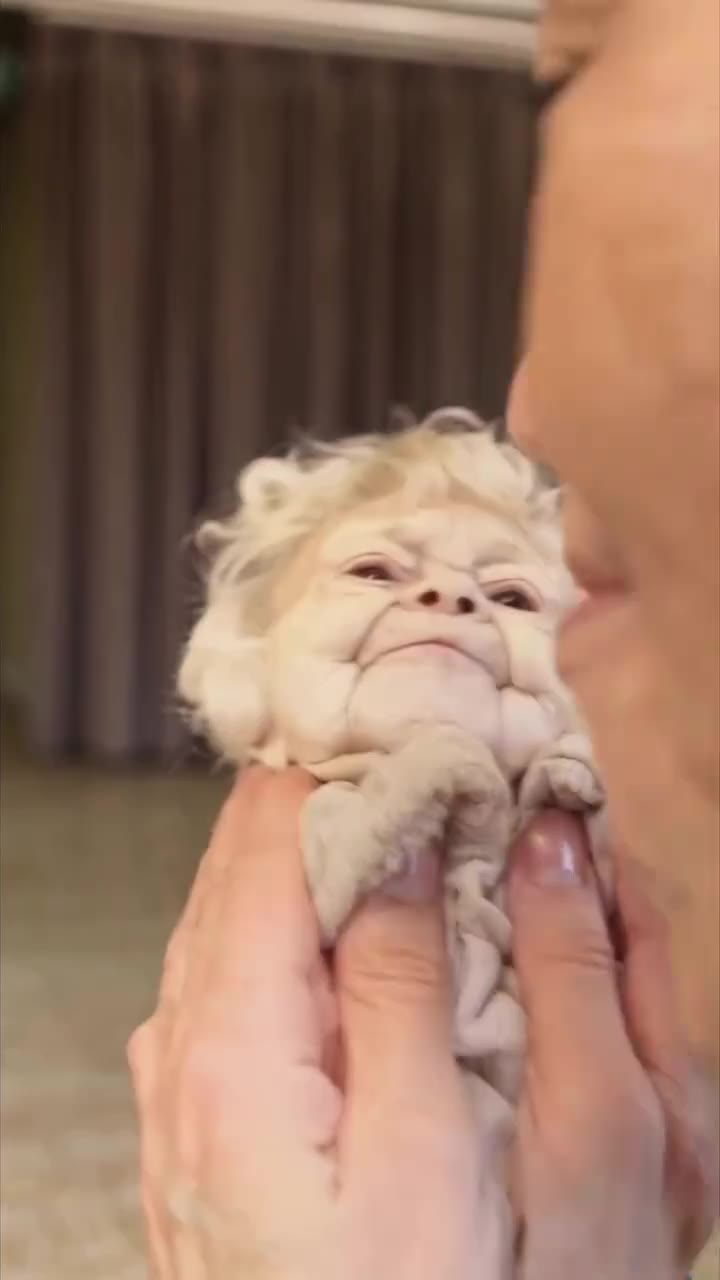 This lil guy is such a sweetheart! #dapodtok