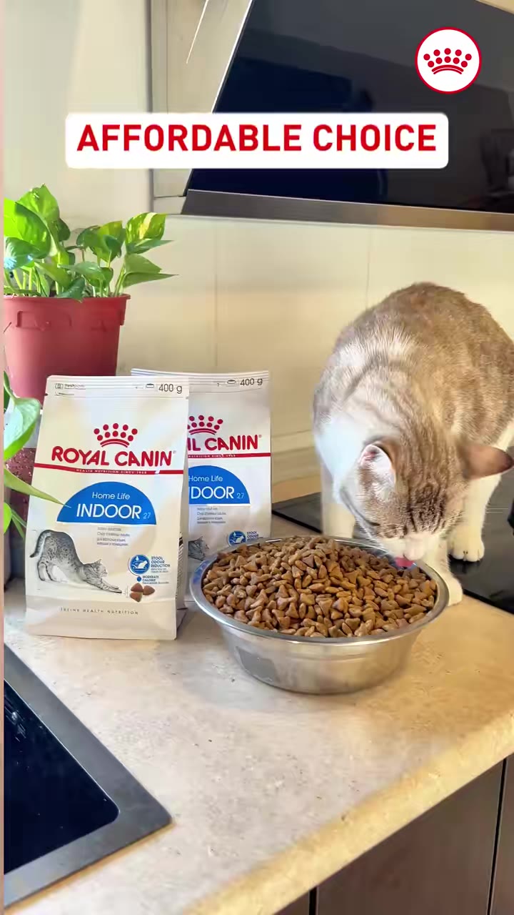 The Smart Choice for Pet Parents: Royal Canin Indoor 27 Twin Pack – Here’s Why!  #RoyalCaninMalaysia