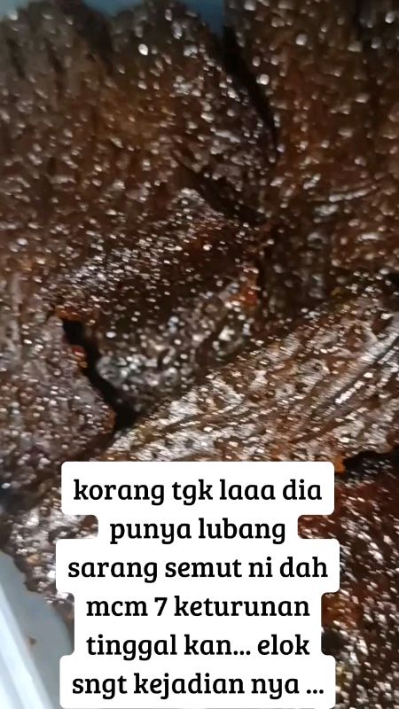 korang tgk laaa dia punya lubang sarang semut ni dah mcm 7 keturunan tinggal kan... elok sngt kejadian nya ...