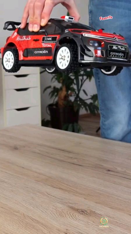 #rc #car #rally