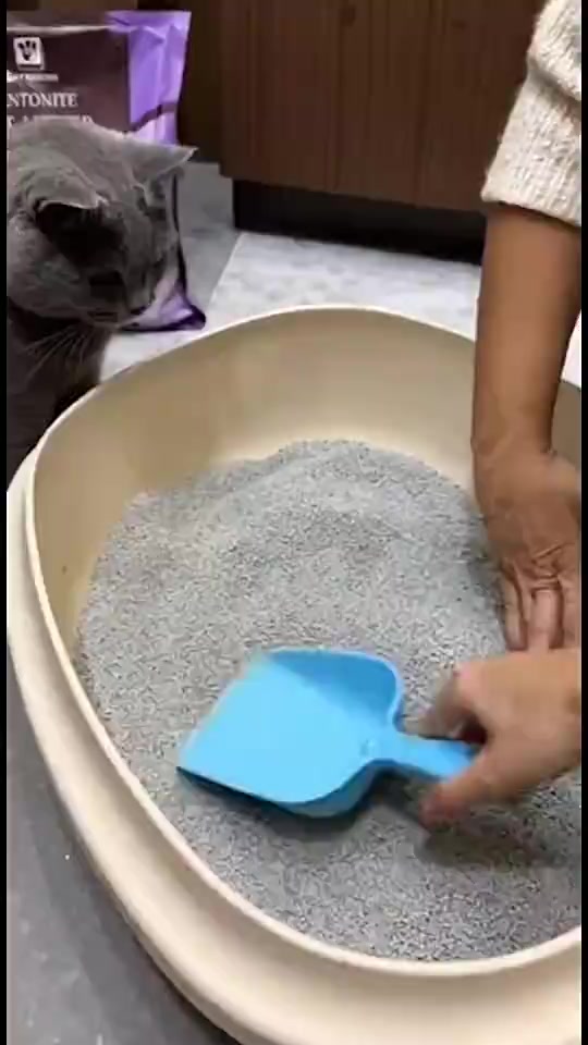 10KG Bentonite cat litter 8 scents deodorized Pasir Kucing Bentonit Gumpalan Cepat 8KG/6KG/4KG 膨润土猫砂