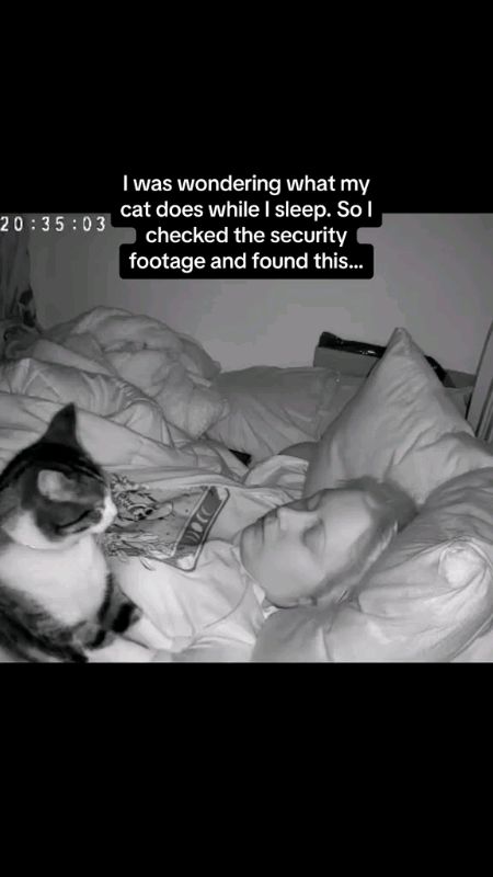 Nasib baik ada CCTV #trending #fyp