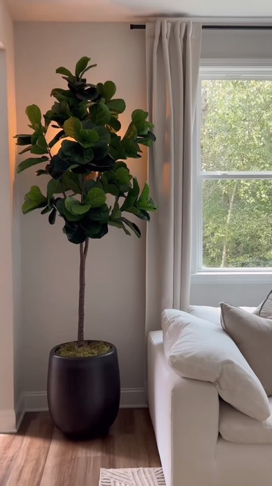 ￼Artificial  Fiddle Tree plant home decoration