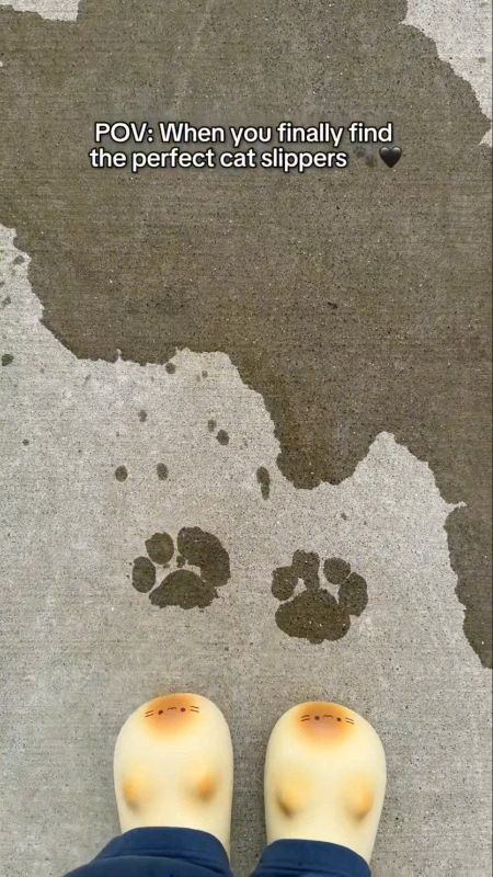 Selipar/kasut paw prints. Comel #pawshoes #pawslippers #pawprints